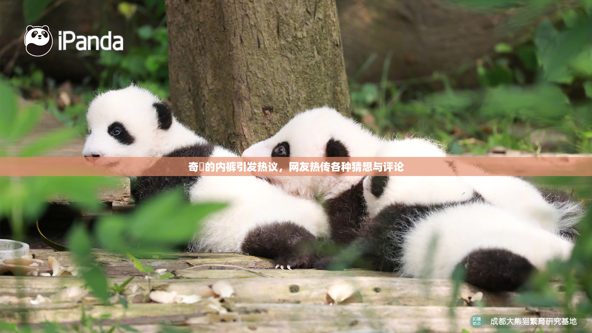 奇犽的内裤引发热议，网友热传各种猜想与评论