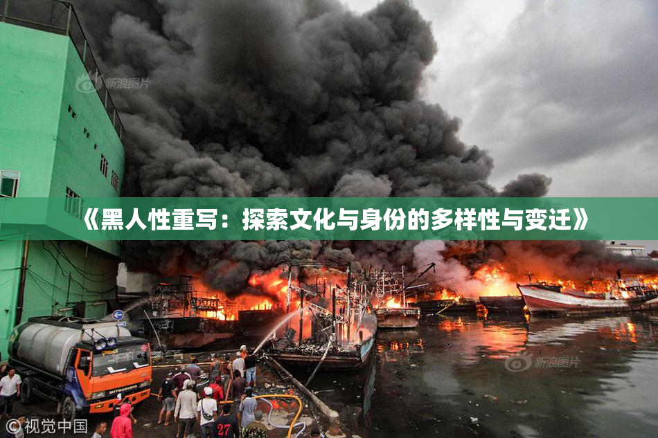 《黑人性重写：探索文化与身份的多样性与变迁》