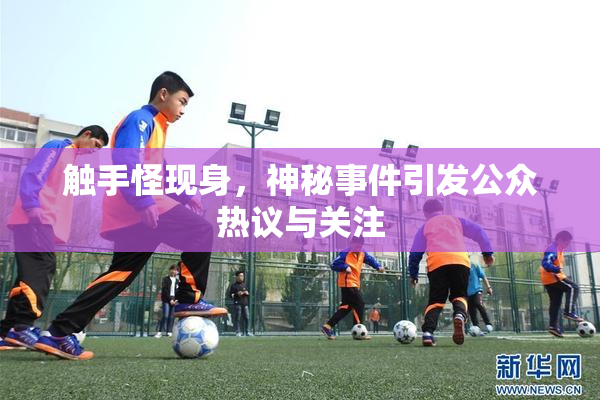触手怪现身，神秘事件引发公众热议与关注