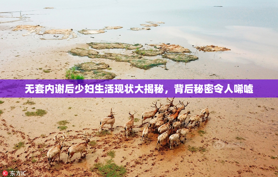 无套内谢后少妇生活现状大揭秘，背后秘密令人唏嘘