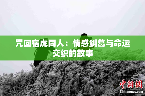 咒回宿虎同人：情感纠葛与命运交织的故事