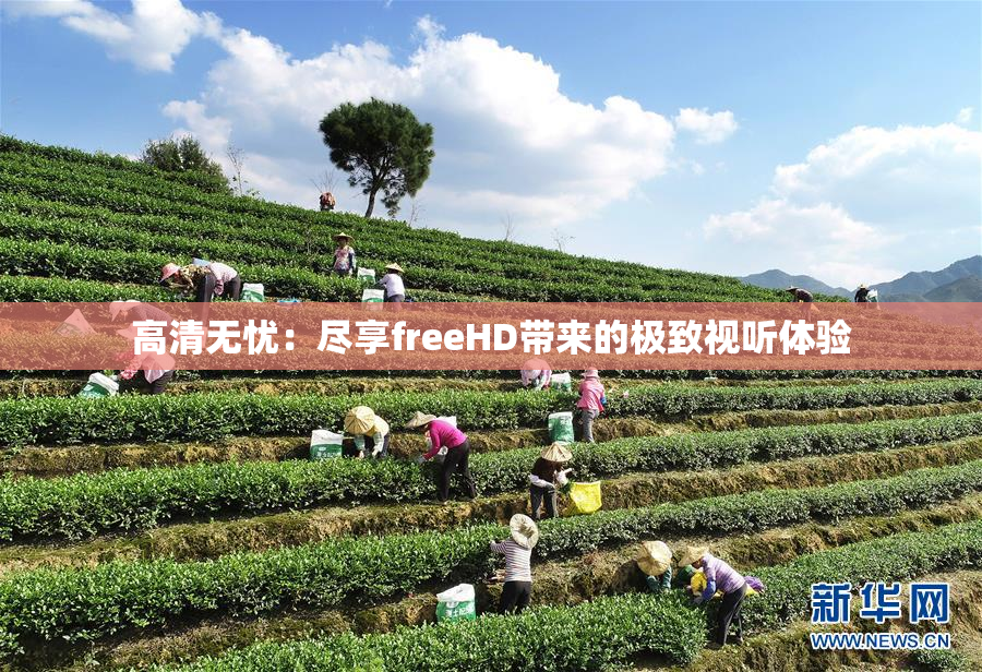 高清无忧：尽享freeHD带来的极致视听体验