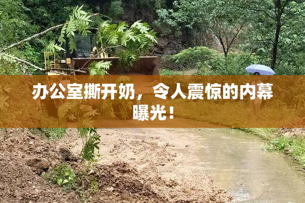 办公室撕开奶，令人震惊的内幕曝光！