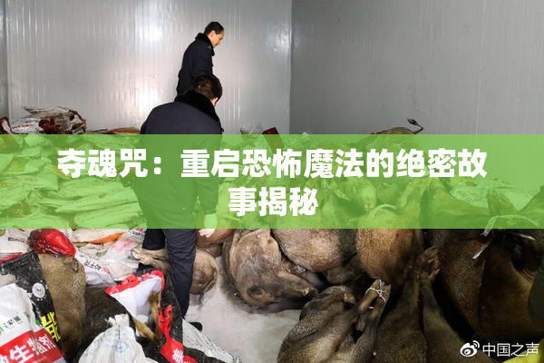 夺魂咒：重启恐怖魔法的绝密故事揭秘