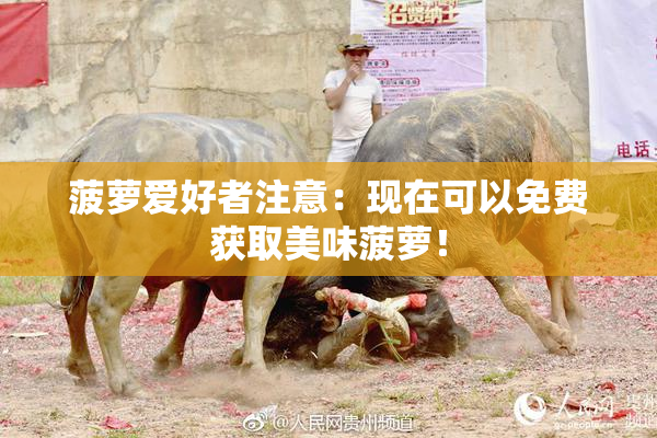 菠萝爱好者注意：现在可以免费获取美味菠萝！