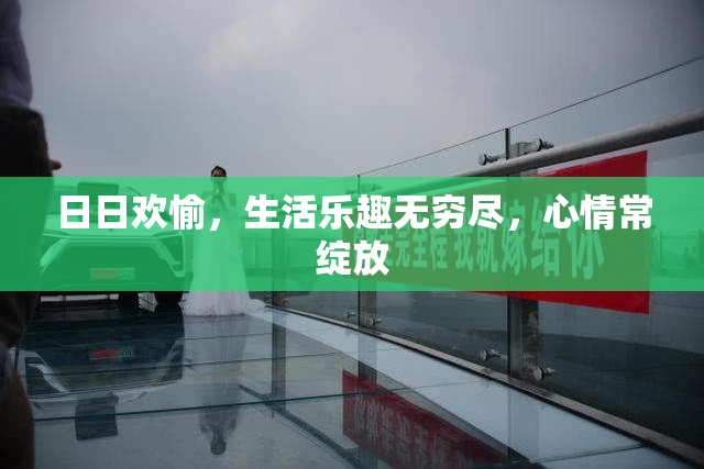 日日欢愉，生活乐趣无穷尽，心情常绽放