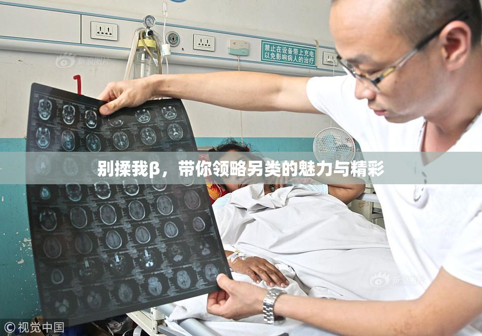 别揉我β，带你领略另类的魅力与精彩