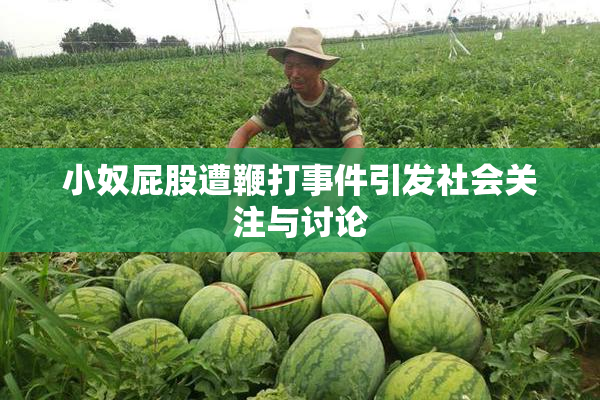 小奴屁股遭鞭打事件引发社会关注与讨论