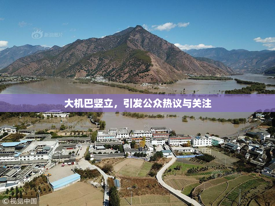 大机巴竖立，引发公众热议与关注