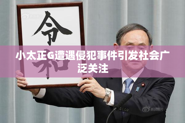 小太正G遭遇侵犯事件引发社会广泛关注