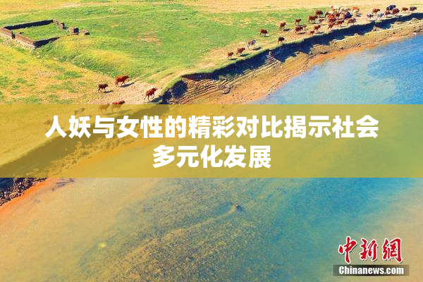 人妖与女性的精彩对比揭示社会多元化发展