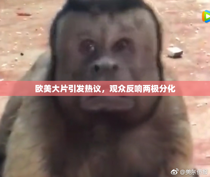欧美大片引发热议，观众反响两极分化