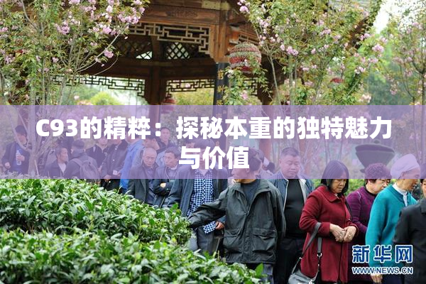 C93的精粹：探秘本重的独特魅力与价值