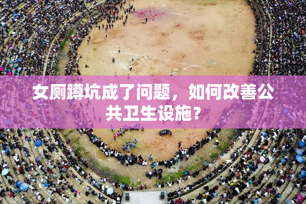 女厕蹲坑成了问题，如何改善公共卫生设施？