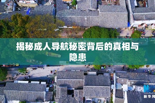 揭秘成人导航秘密背后的真相与隐患
