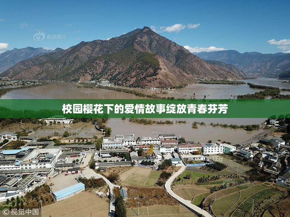 校园樱花下的爱情故事绽放青春芬芳