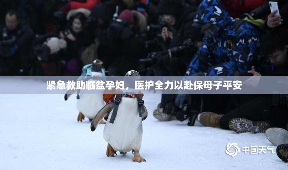 紧急救助临盆孕妇，医护全力以赴保母子平安
