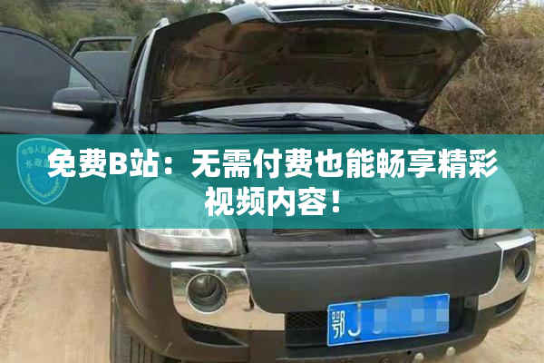 免费B站：无需付费也能畅享精彩视频内容！