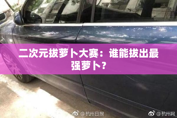 二次元拔萝卜大赛：谁能拔出最强萝卜？