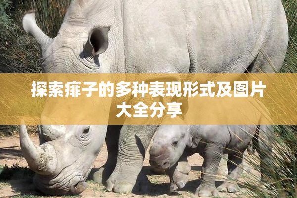 探索痱子的多种表现形式及图片大全分享