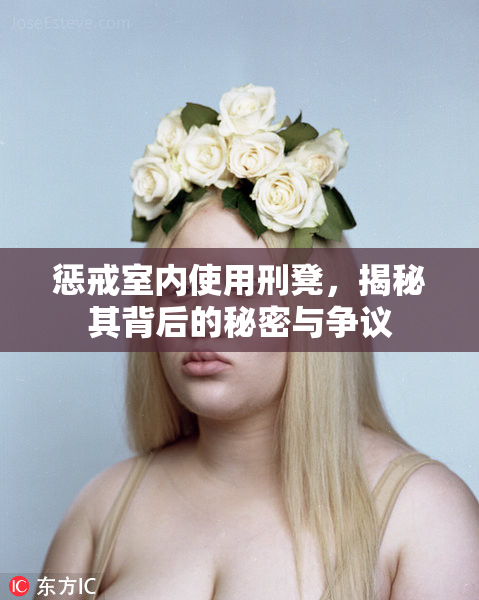 惩戒室内使用刑凳，揭秘其背后的秘密与争议