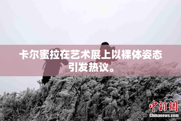 卡尔蜜拉在艺术展上以裸体姿态引发热议。