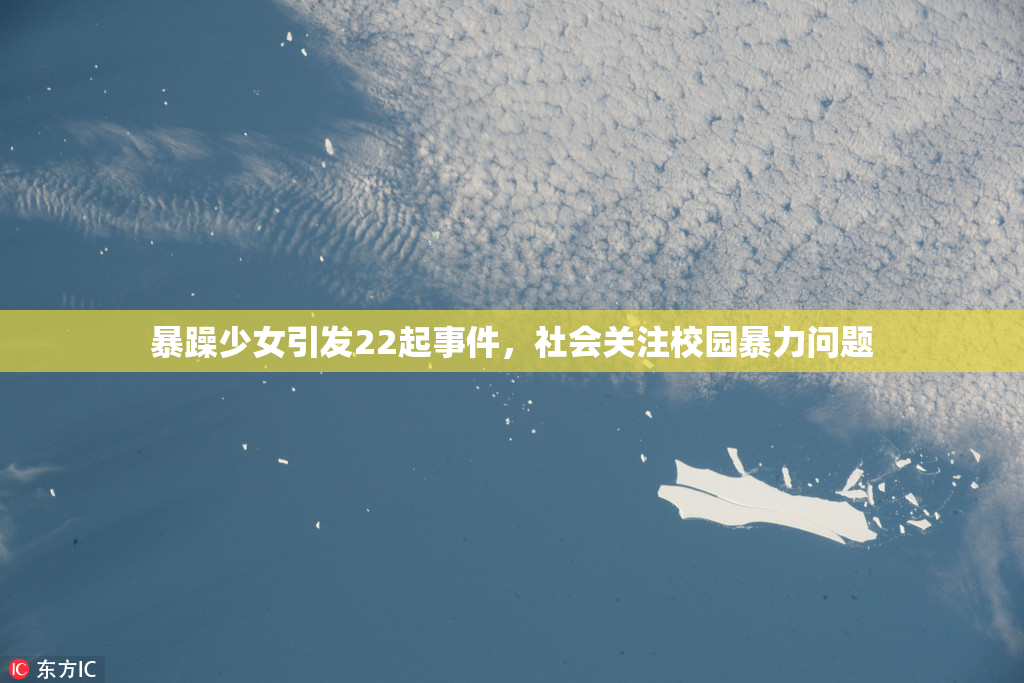 暴躁少女引发22起事件，社会关注校园暴力问题