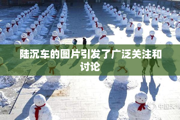陆沉车的图片引发了广泛关注和讨论