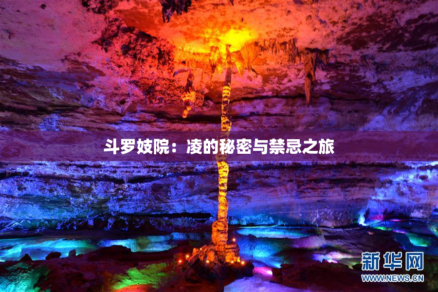 斗罗妓院：凌的秘密与禁忌之旅