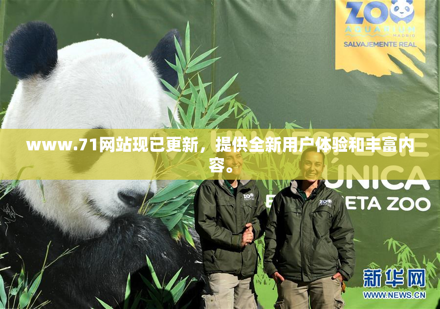 www.71网站现已更新，提供全新用户体验和丰富内容。