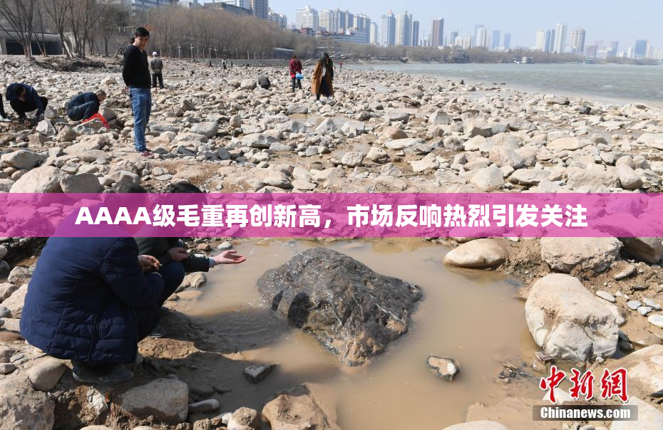 AAAA级毛重再创新高，市场反响热烈引发关注