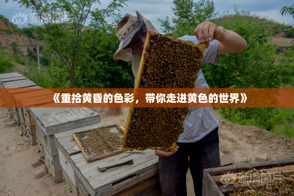 《重拾黄昏的色彩，带你走进黄色的世界》