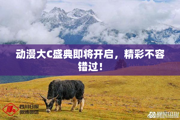 动漫大C盛典即将开启，精彩不容错过！