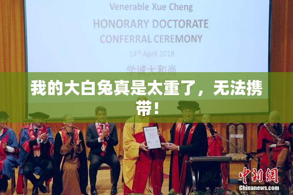 我的大白兔真是太重了，无法携带！