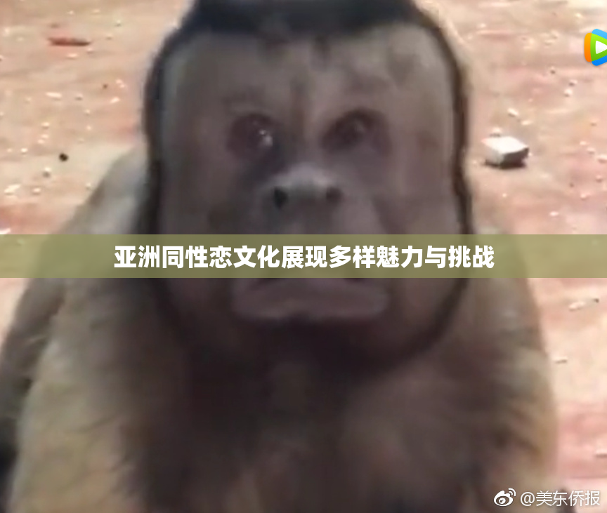 亚洲同性恋文化展现多样魅力与挑战