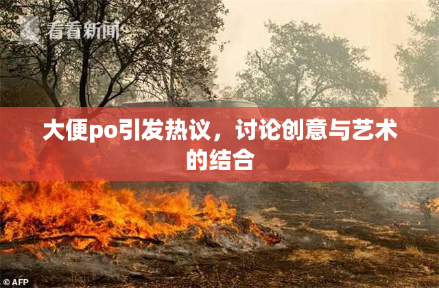 大便po引发热议，讨论创意与艺术的结合