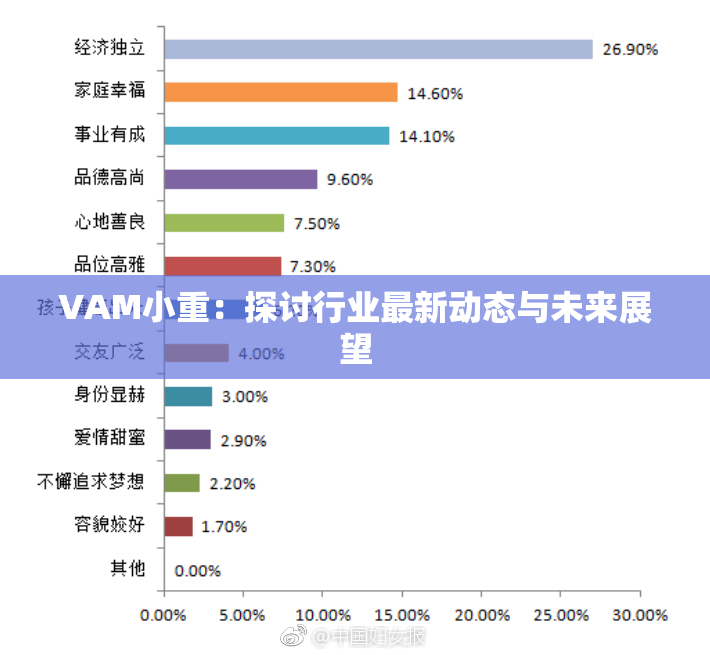 VAM小重：探讨行业最新动态与未来展望