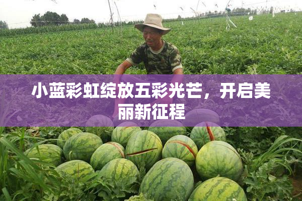 小蓝彩虹绽放五彩光芒，开启美丽新征程