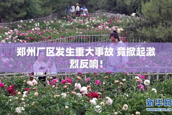 郑州厂区发生重大事故 竟掀起激烈反响！