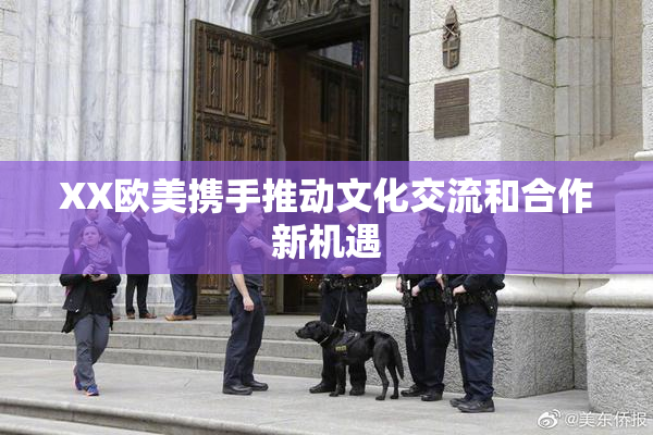 XX欧美携手推动文化交流和合作新机遇