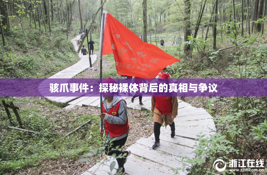 骇爪事件：探秘裸体背后的真相与争议