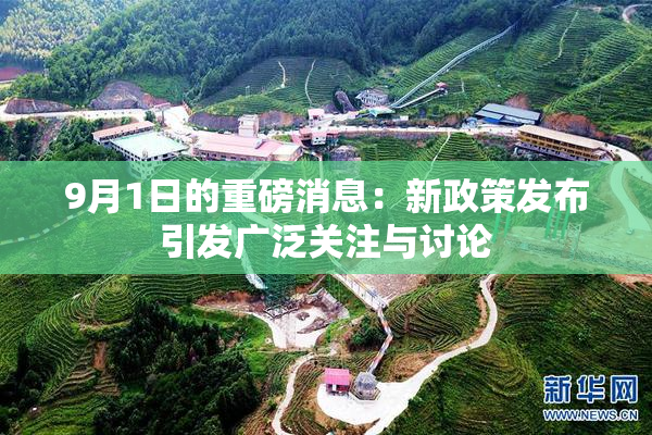9月1日的重磅消息：新政策发布引发广泛关注与讨论