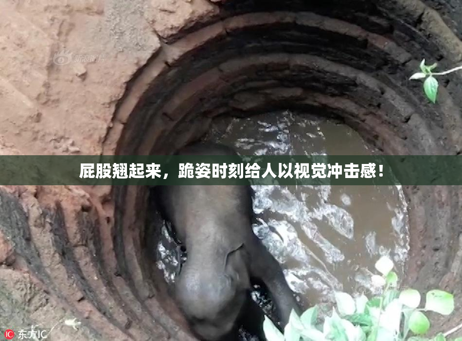 屁股翘起来，跪姿时刻给人以视觉冲击感！