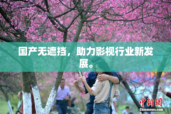 国产无遮挡，助力影视行业新发展。