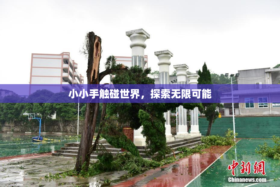 小小手触碰世界，探索无限可能