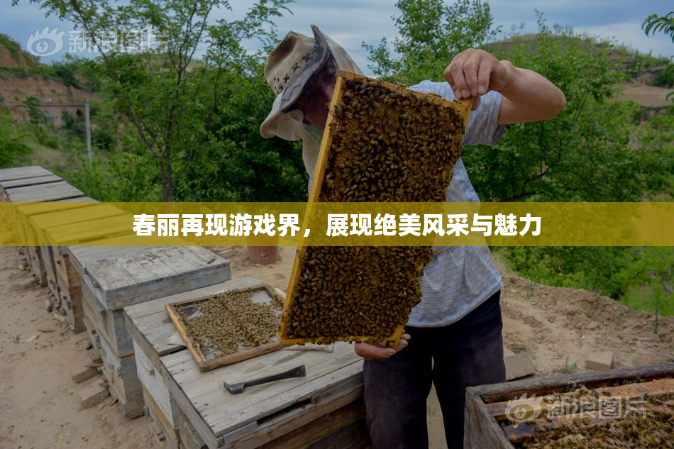 春丽再现游戏界，展现绝美风采与魅力