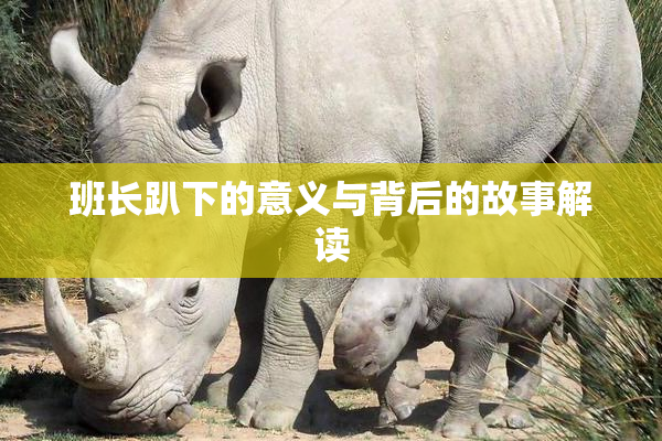班长趴下的意义与背后的故事解读