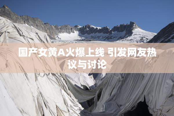国产女黄A火爆上线 引发网友热议与讨论