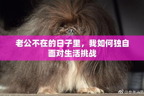 老公不在的日子里，我如何独自面对生活挑战