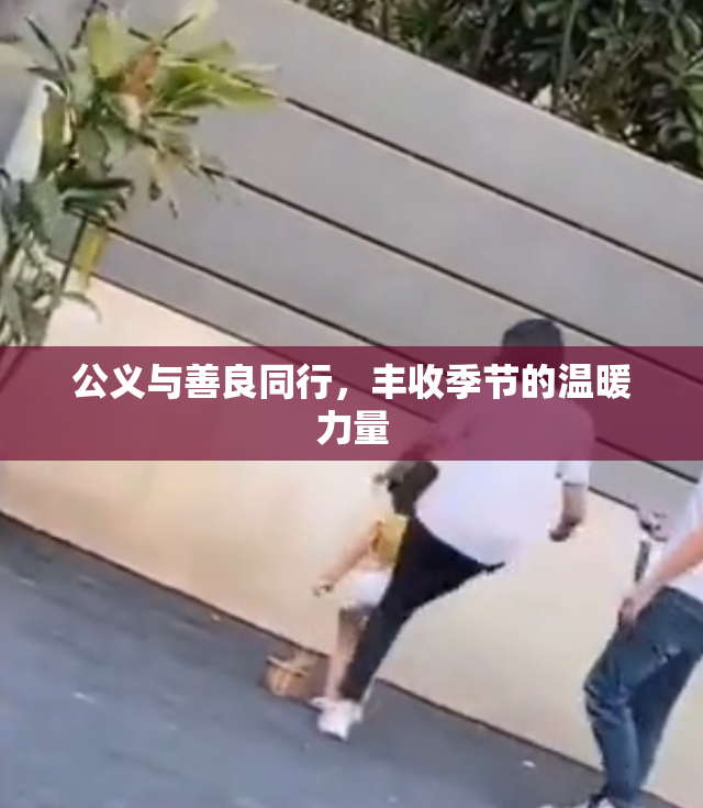 公义与善良同行，丰收季节的温暖力量